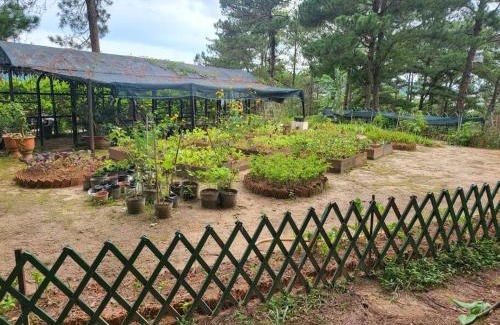Da Lat Apartment | FULL MOON FARMS DALAT