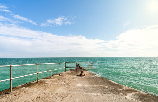 Luxury coastal stay, steps away from Seaford Beach