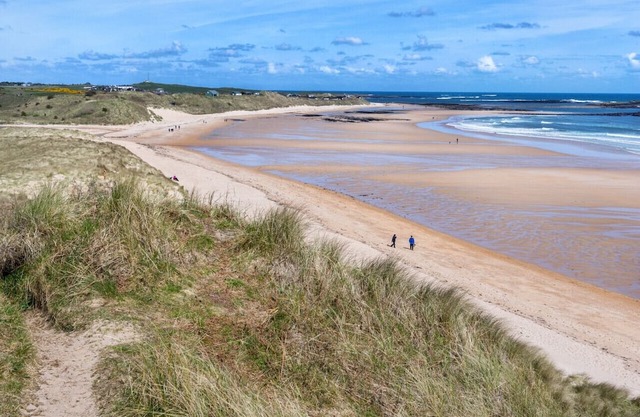Driftwood - Christon Bank