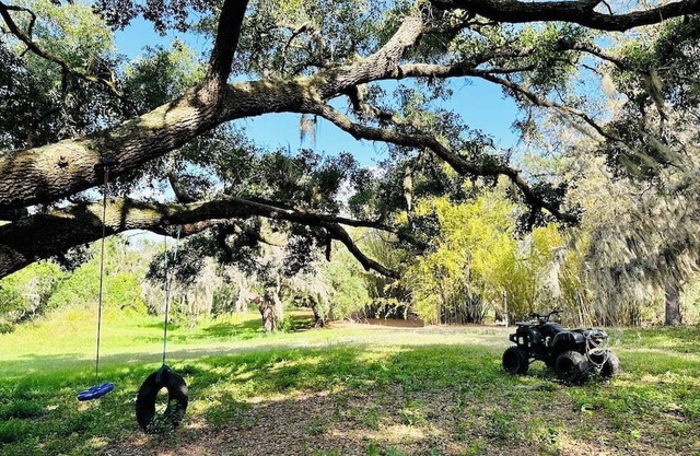 Bamboo Farm on Bullfrog Creek