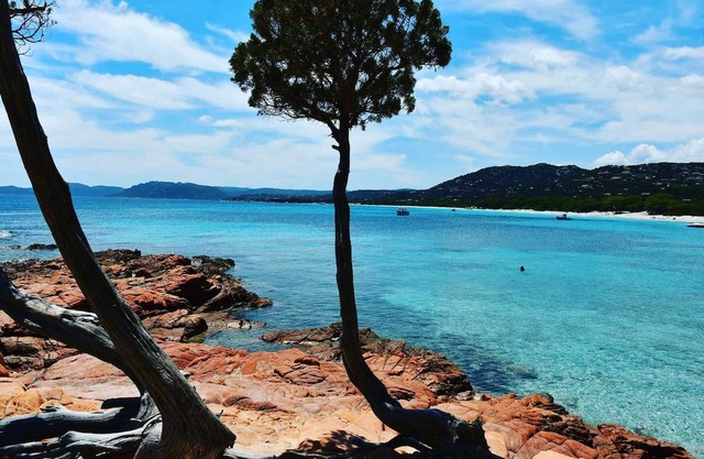 Chalet - Piscine - ef0aa0