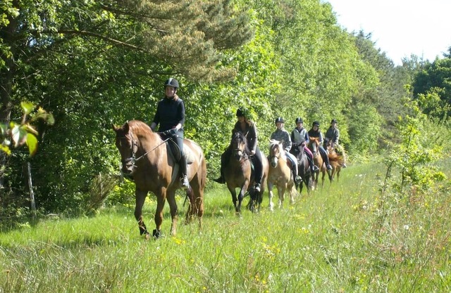 Ferienwohnung mit 2 Schlafzimmern in Ruhiger Idyllischer Lage, Nordseenähe