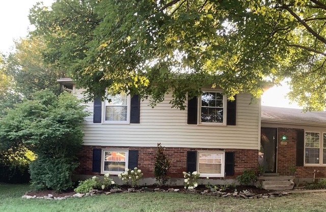 Professional Serenity Suites Louisville