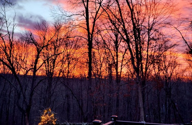 Rustic barn on remote 12 acre property. Private, scenic, pet friendly, bathroom