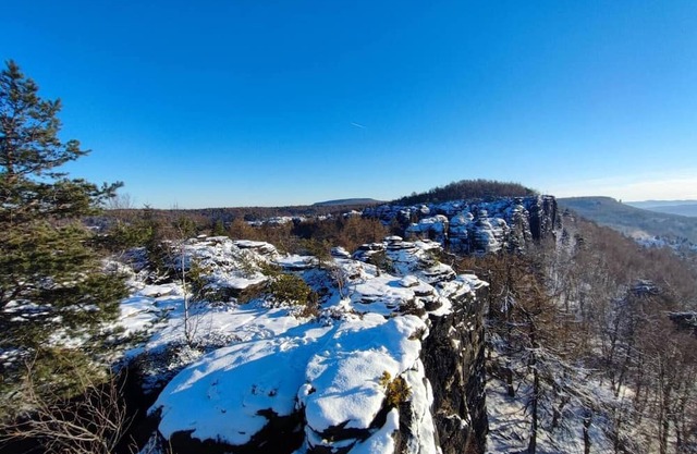 Cozy full-equipped studio in Tisá. Pet-friendly. 5 minutes to rocks by walk!