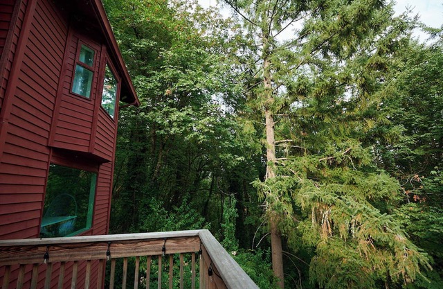 Wooded Hillside Retreat w/Heated indoor Pool