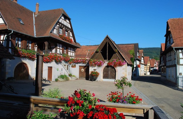 Gite du Vignoble