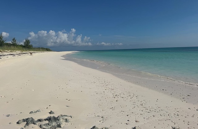 Abaco, Bahamas Newest Luxury Resort! Discover Our 4BR/4BA Poolside villa!