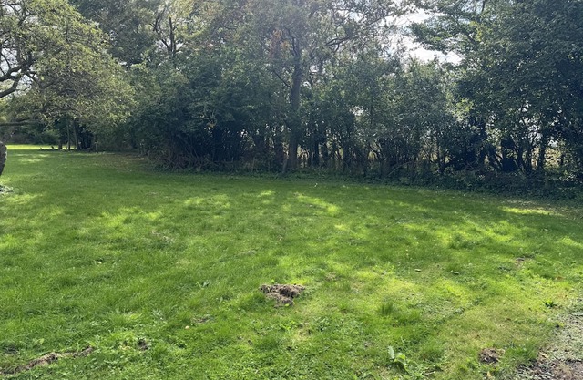 Super charming holiday home with space for 10 people and a huge plot.