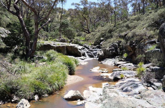 1BR bungalow farmstay. Located 40mins north of Canberra