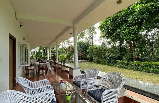 The Grand Oak By TERASTAY