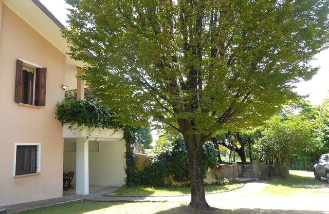 Beautiful apartment for 6 guests with WIFI, A/C and patio