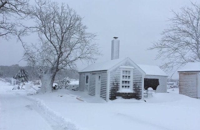 Charming cottage on goat farm in picturesque Westport