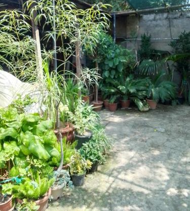 Private House