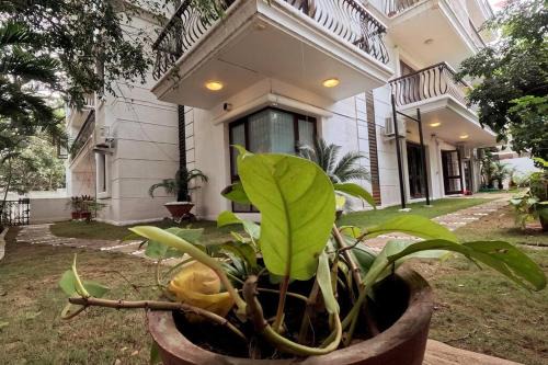 Service Apartment - 3BHK Flat with Garden for Family Only