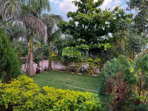 Delightful Champa - A farmstay