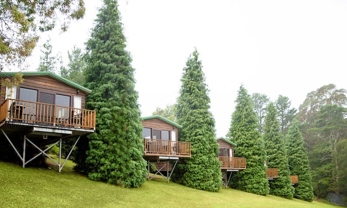 Bilpin Cabin | Studio Cedar Cabins in Bilpin