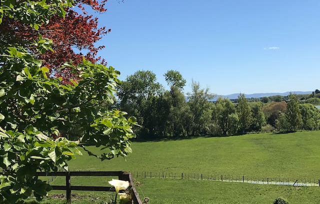 Komata Other | Alleys self catering farmstay