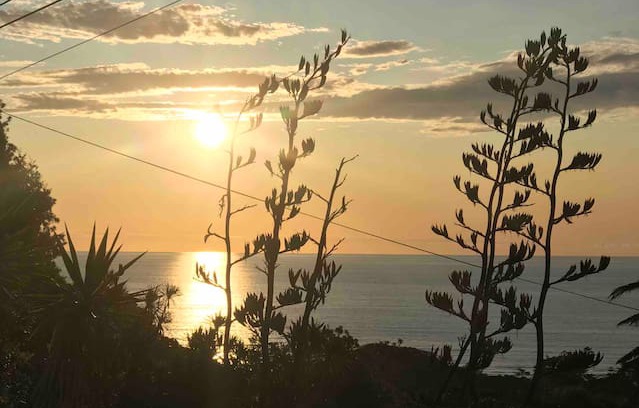 Muriwai House | The Blue Batch with views over Muriwai