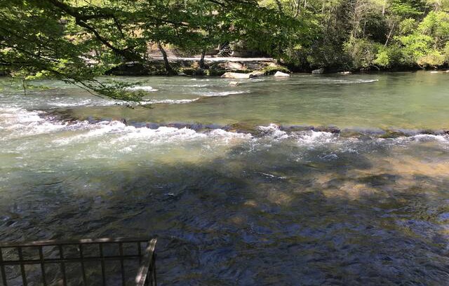 Mineral Bluff House | Toccoa Fish Trap Escape
