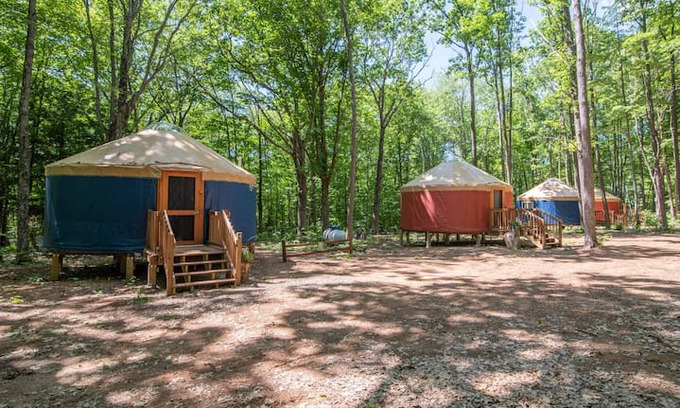 Bayfield Other | Turtle Yurts - Yurt 3