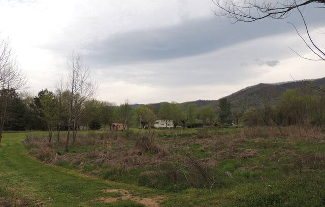 Cosby House | "Green Acres"Creekside Tiny House In The Smokies
