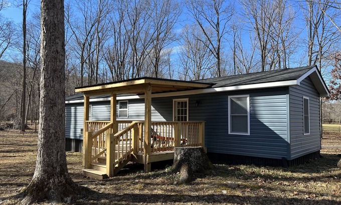 Lyndhurst House | Cozy Creekside Home with the National Forest at your back door !