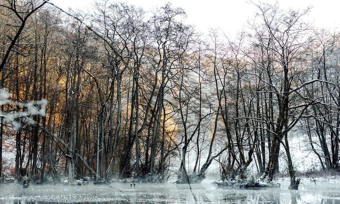 Alme Apartment | Pure relaxation: Brilon vacation apartment with a forest feel for the whole family!