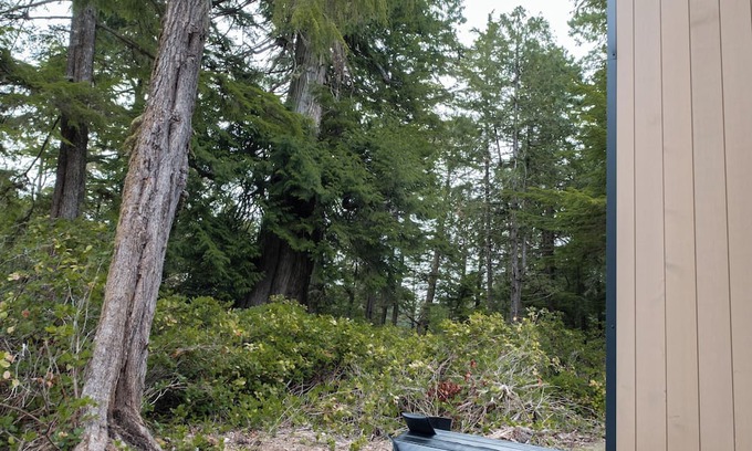 Ucluelet Cabin | NEW Calmwater 1: New Built Waterfront Cabin in Ucluelet