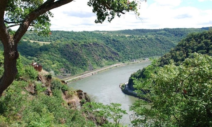 Sankt Goarshausen Apartment | Vacation apartment/apartment for 5 guests with 78m² in Sankt Goarshausen (266473)