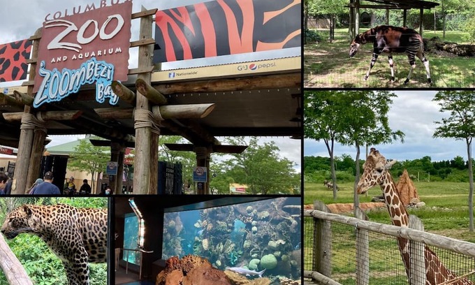 Powell House | Family & Friends, 5BR 3BA Home Near Zoo , 10 min to OSU Downtown