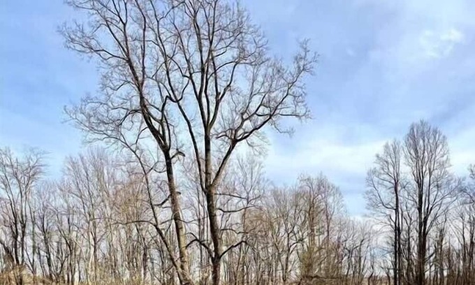 Orrtanna House | Deerwood Estates Red House