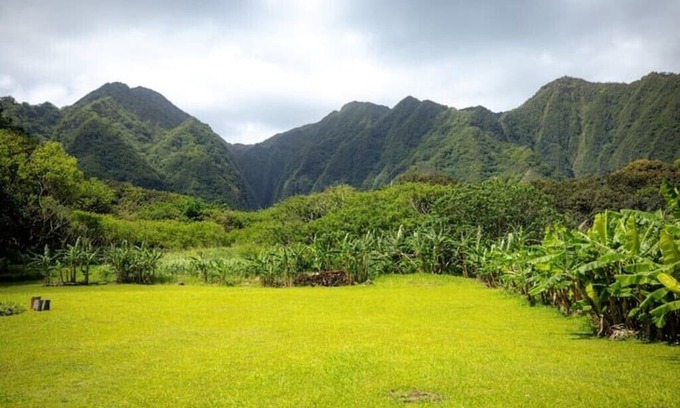 Hauula Apartment | Hawaii Oasis Yurt