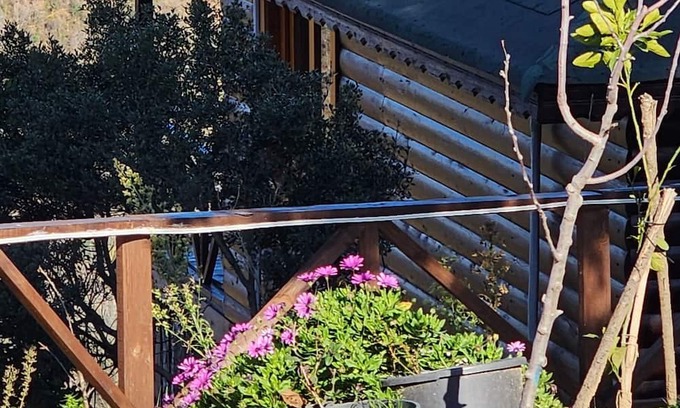 Yalova House | Cozy Chalet with sea and forest view, 20 minutes to the beach, Pet friendly!