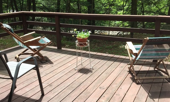 Phoenicia Cottage | IMMERSE YOURSELF IN NATURE PET FRIENDLY FISH FROM YOUR FRONT DOOR