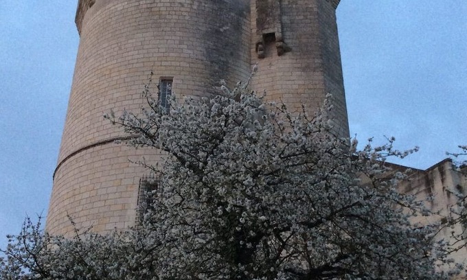 Chenehutte-Treves-Cunault Cottage | La Maison du Passeur New Gite in Beautiful Loire Riverside Village near Saumur