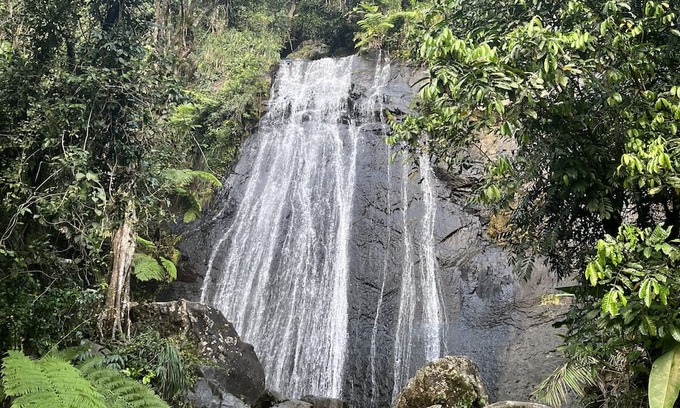 Zarzal Bed & Breakfast | Tranquil Guest Room Nestled in El Yunque Region. 5mins. From Beach & Rainforest!