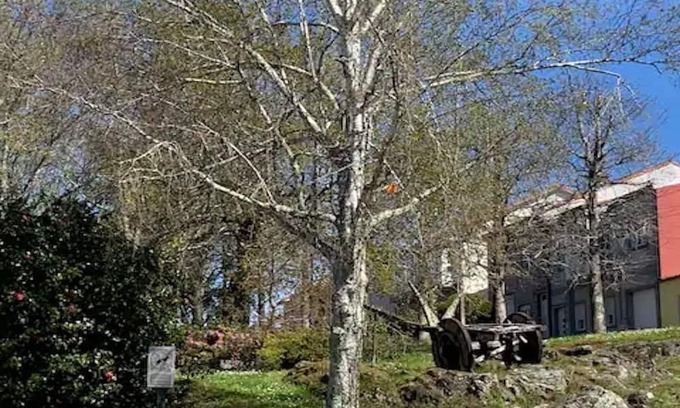 Santiago de Compostela House | Vivienda Situada en un Entorno Tranquilo, Seguro y Naturaleza