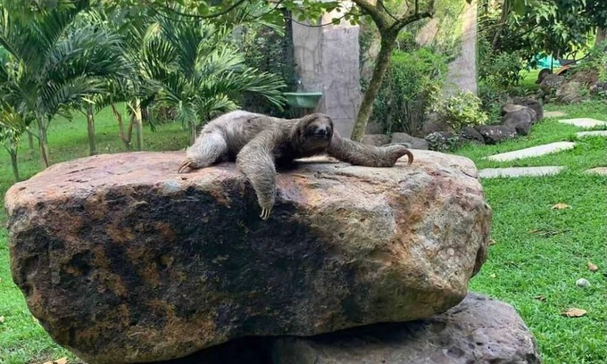 La Fortuna Cabin | Cabin in La Fortuna, Costa Rica. Cabin Ceiba EcoContainer in La Fortuna