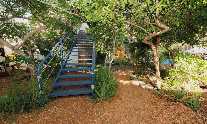 Bahia de la Academia Apartment | Darwins Ecosuite on the way to Tortuga bay - great location, quiet and natural