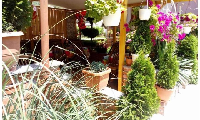 Pestani Apartment | Lile Pestani Family Room with Mountain View