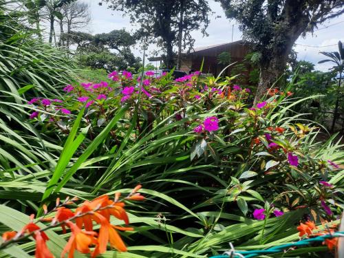 Roble Other | Finca raíces del pasado