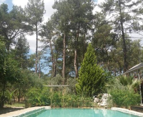 Olympos Cabin | Yeşilyurt 5 rooms