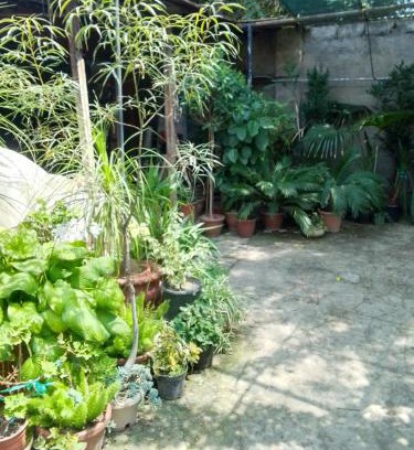 Tashkent Apartment | Private House