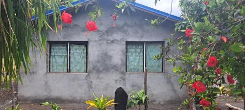 Tanna Island House | White Sand Ocean View Bungalow and Tours