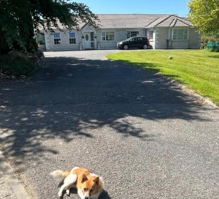 Kilgreaney House | graiguenamanagh Homestay